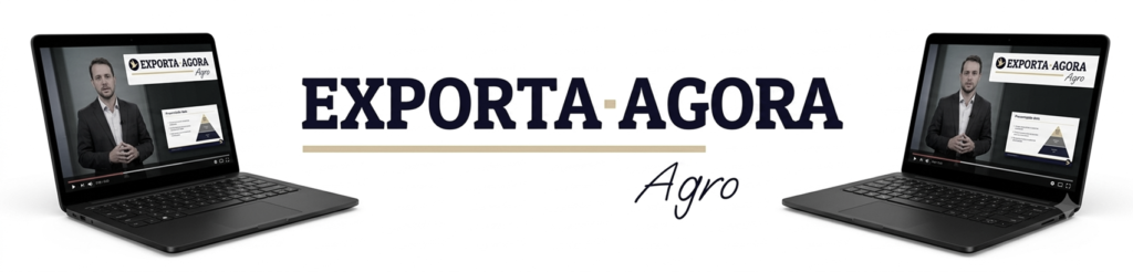 exporta agora image