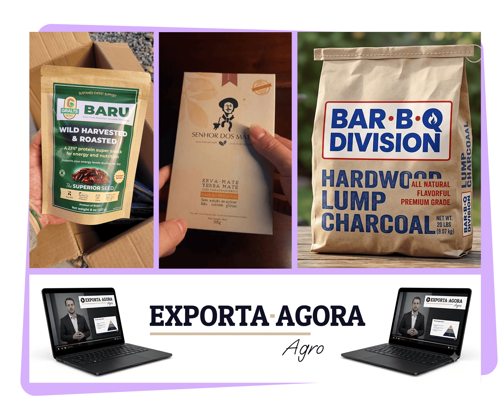 imagens cases sucesso greatest alternatives